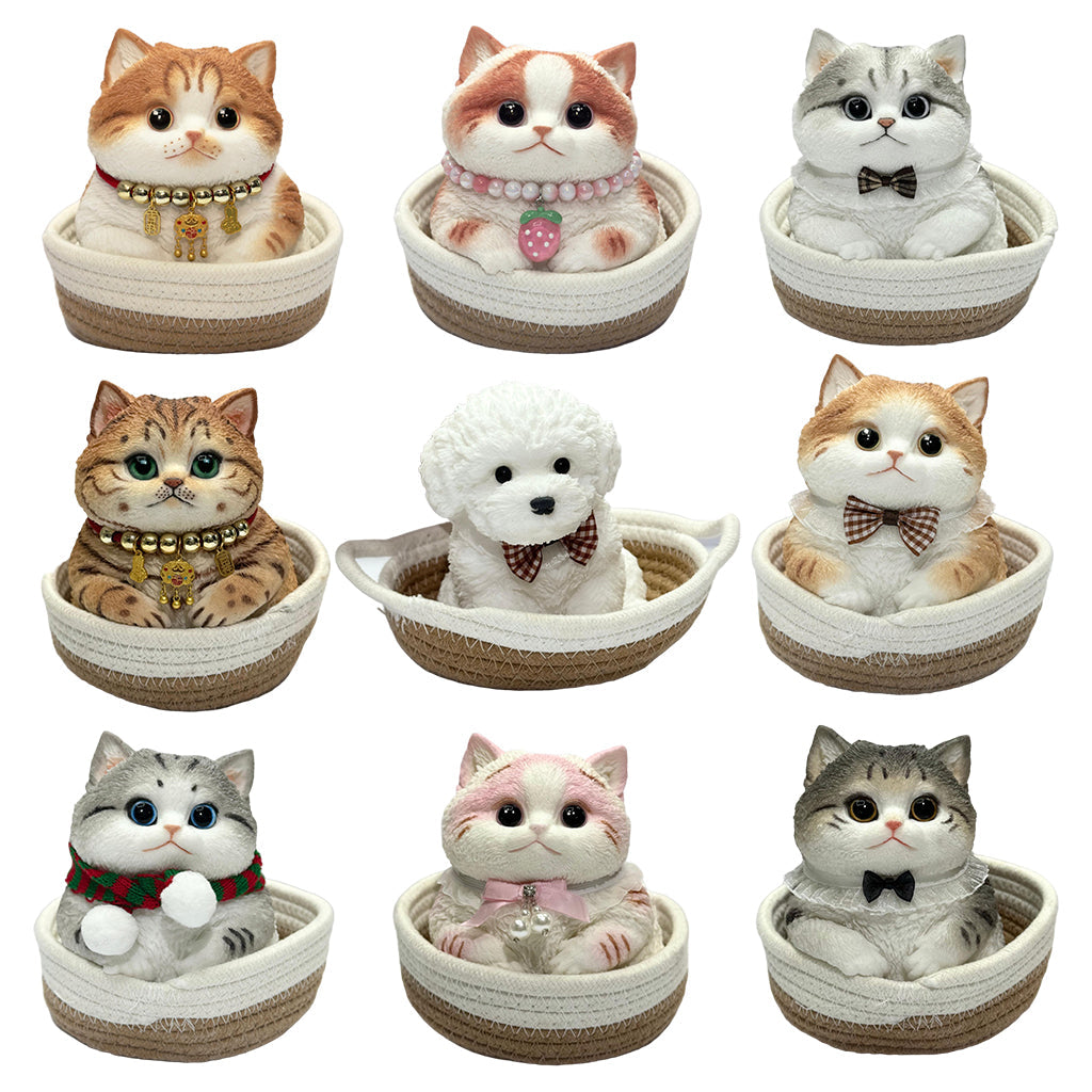 squishy cat kit