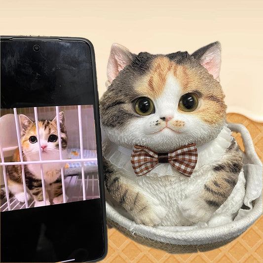 Handmade Custom Squishy Cat – Special Stress Relief Toy