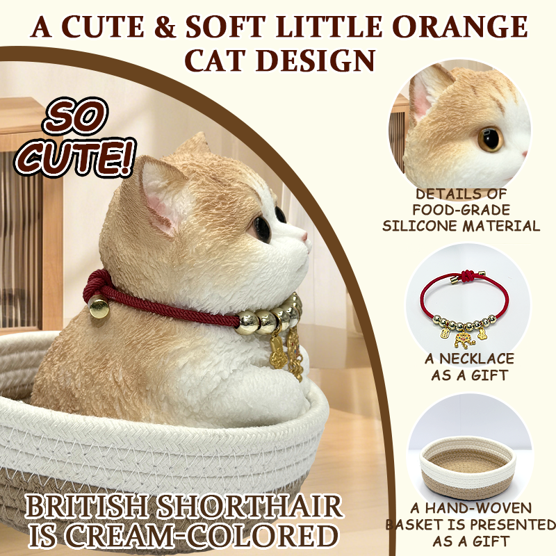 Handmade Silicone Squishy Cat 2.4Ib – Cute Stress Relief Gift